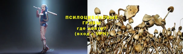 не бодяженный Верхний Тагил