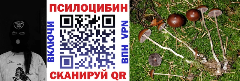дарнет шоп  Староминская  Псилоцибиновые грибы ЛСД 
